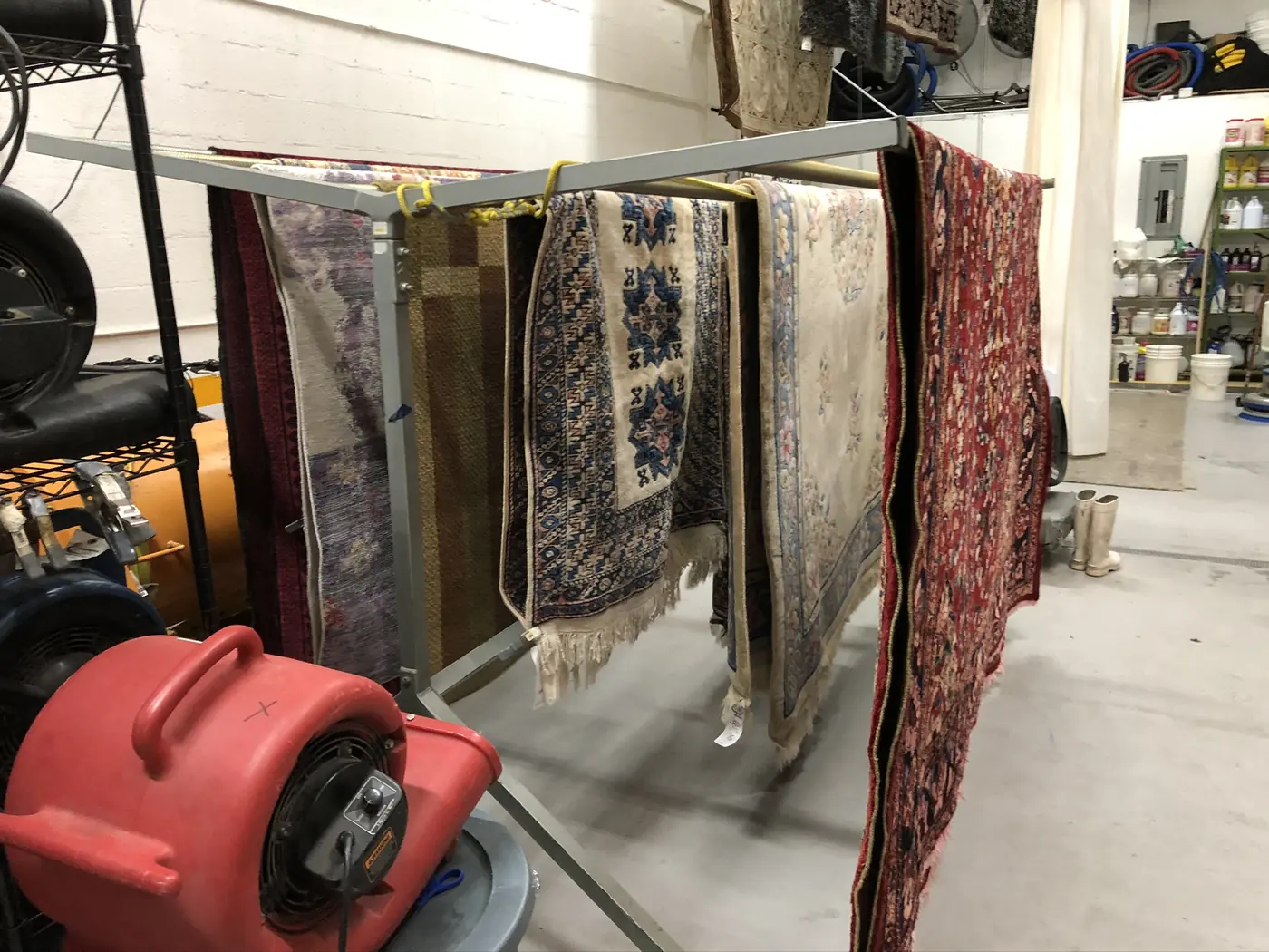 Rugs hanging to dry with air movers running in the plant